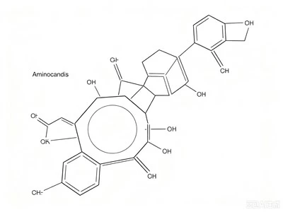 CAS:227472-48-2:Aminocandin